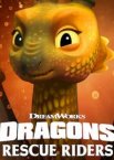 Dragons: Rescue Riders: Hunt for the Golden Dragon