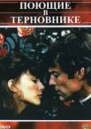 Поющие в терновнике 1 сезон