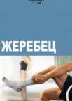 Жеребец 1-3 сезон