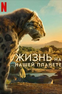 Жизнь на нашей планете 1 сезон