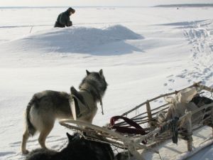 Счастливые люди: Год в тайге